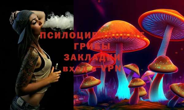 шишки Богданович